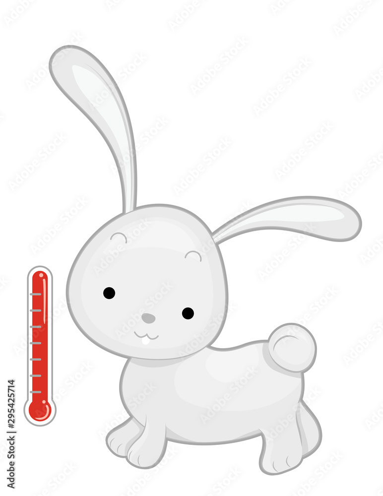 Warm Blooded Animals