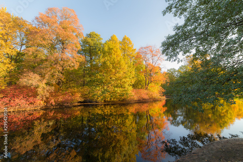 sunny landscape in the autumn park