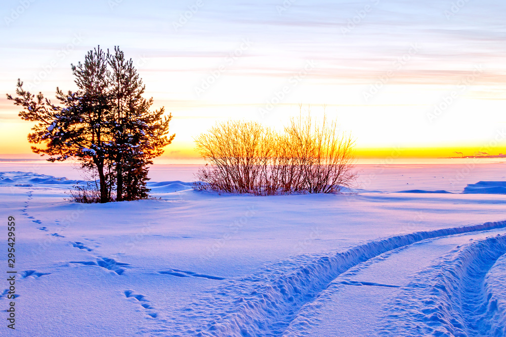 Morning sky at dawn and snowy lake shore on a winter day Morning sky at dawn and snowy lake shore on a winter day