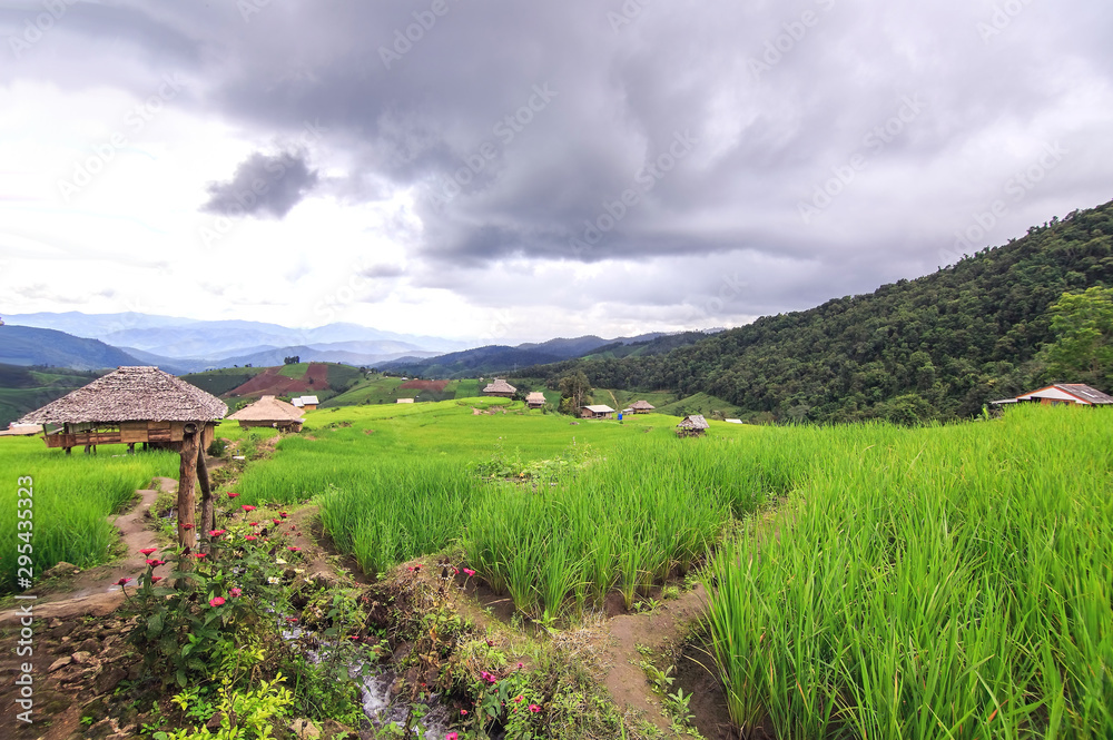 The hut in the fields At the village of   Pa Pong Piang  in the rainy season