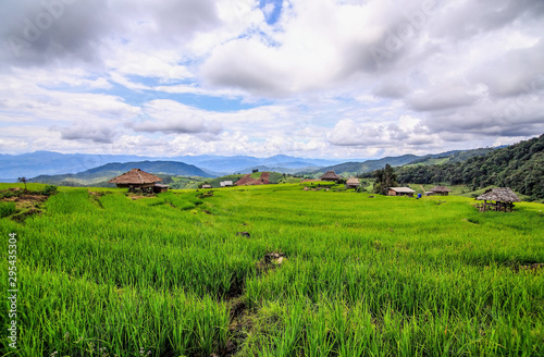 The hut in the fields At the village of Pa Pong Piang in the rainy season