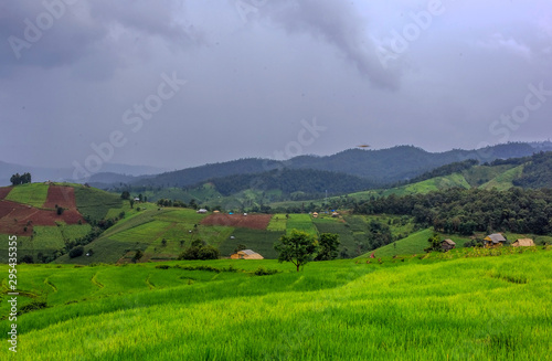 The hut in the fields At the village of   Pa Pong Piang  in the rainy season