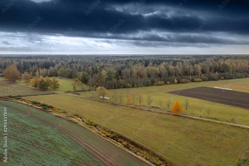 Rainy autumn day in countryside of Latvia.