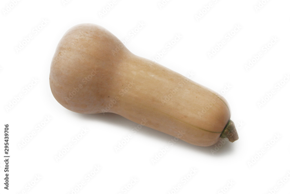 Whole raw butternut pumpkin isolated on white background. Cucurbita moschata 'Butternut' Whole raw butternut pumpkin isolated on white background. Cucurbita moschata 'Butternut'