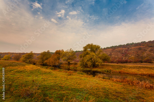 Incredible autumn landscape with yellow trees