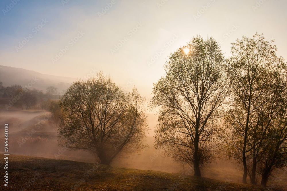 Beautiful foggy autumn sunrise landscape. Beautiful foggy autumn sunrise landscape.