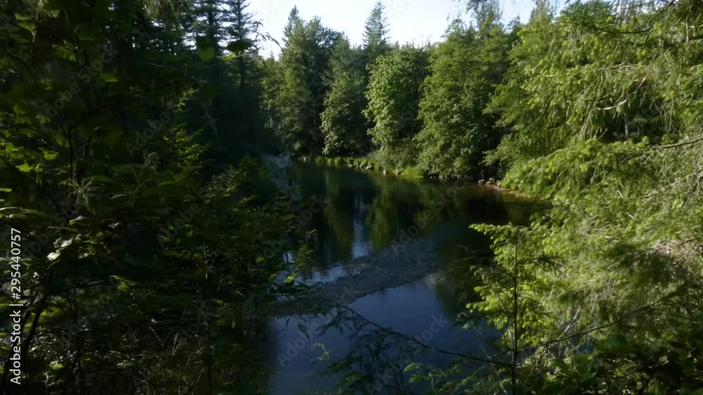 rapid river cutting through a coniferous forest on a bright cloudy day rapid river cutting through a coniferous forest on a bright cloudy day