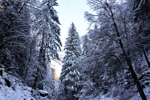 The first snow of winter