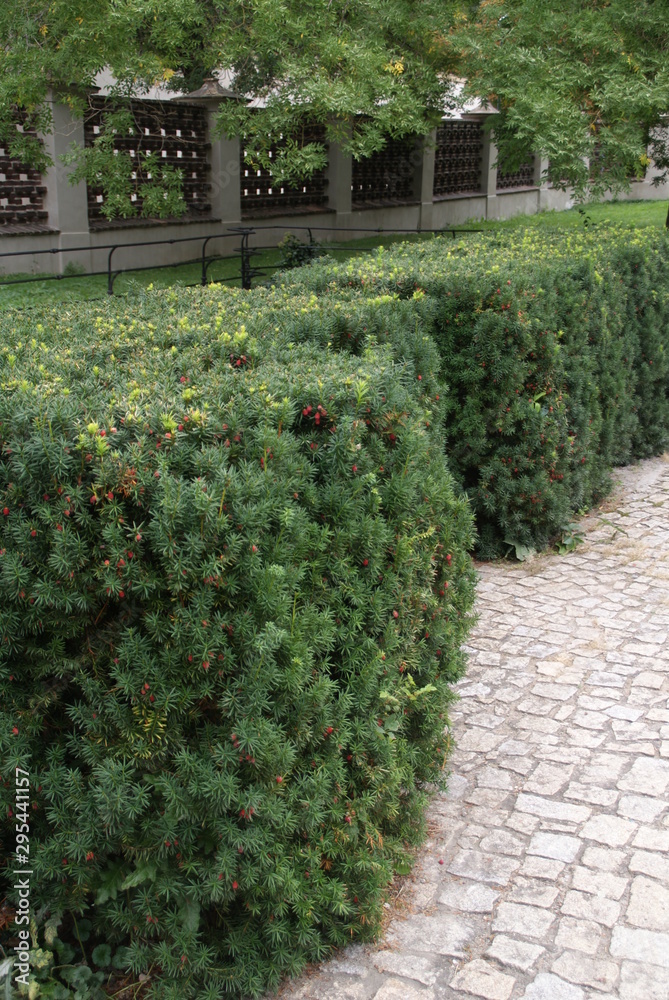 Obraz premium SONY DSC