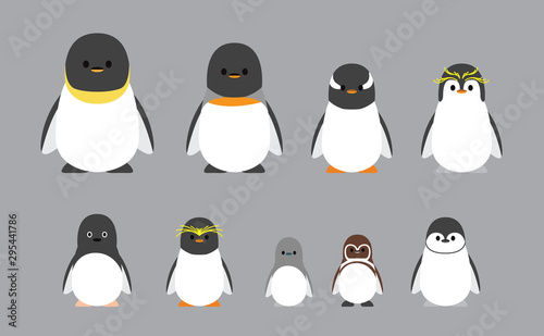 Cute Characters Chubby Penguin Various Breeds Cartoon Vector Illustration