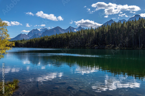 Reflections of Herbert Lake