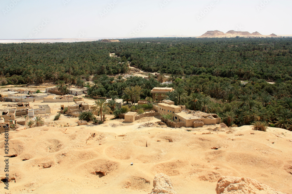 Date Palm Plantation in Siwa, Siwa Oasis, Egypt, seen from the Mountain of the Dead
