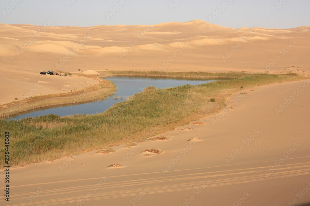A small Fresh Water Oasis surrounded by Sand Dunes in the Sahara Desert near Siwa