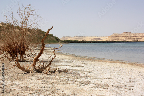 Deadly Salt Lake near the Libyan Border  Siwa Oasis  Egypt