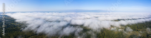 Beautiful hight way road high angle beautiful view of the fog over the road on an early summer morning in central Russia. Bird's eye view of the road and skyline. © miklyxa