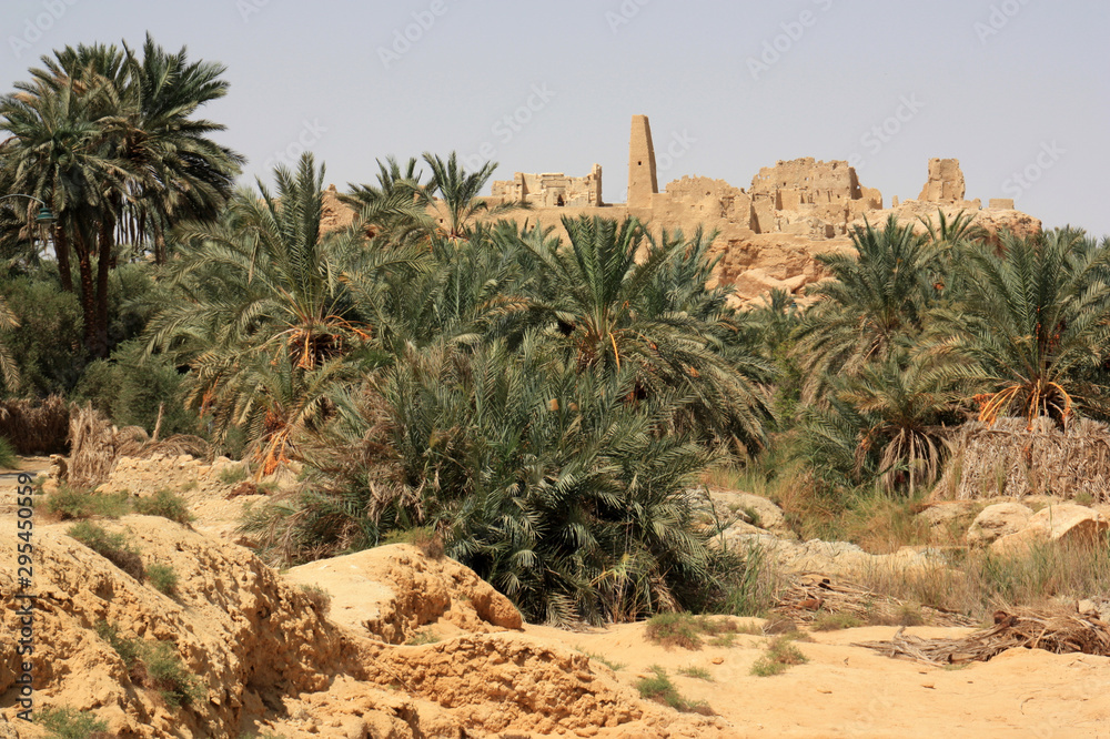 Temple of the Oracle of Ammon to Gebel el-Dakrour in Siwa, Egypt