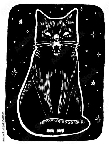 Vintage style vector illustration. Angry black cat on a starry night background. Hand drawn graphic picture. Digital sketches of animals. Design for poster, print, postcard, t-shirt etc.