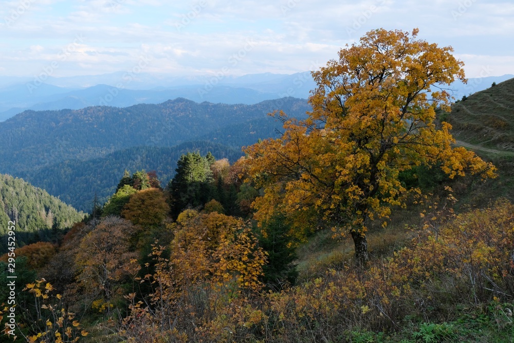 View around peak Lomis Mta in Borjomi-Kharagauli National Park, Georgia. Amazing autumn colours in evening sunlight. View around peak Lomis Mta in Borjomi-Kharagauli National Park, Georgia. Amazing autumn colours in evening sunlight.