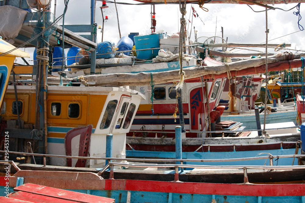 Fischerboote und Fisch im Hafen von Negombo, Sri Lanka