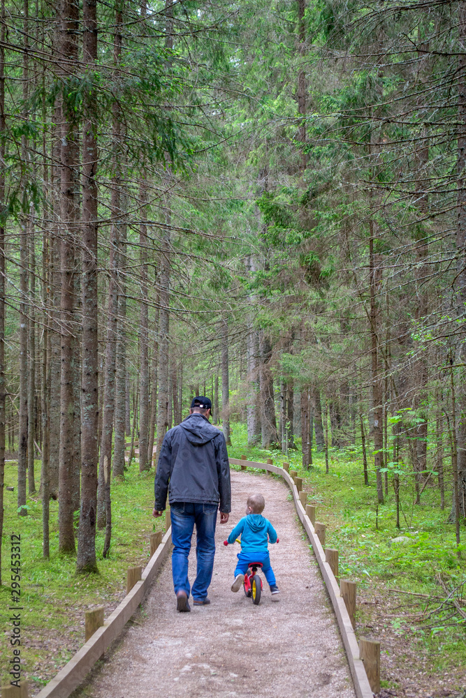 Fototapeta premium Father and son walk at forest. Man with baby boy go on path.