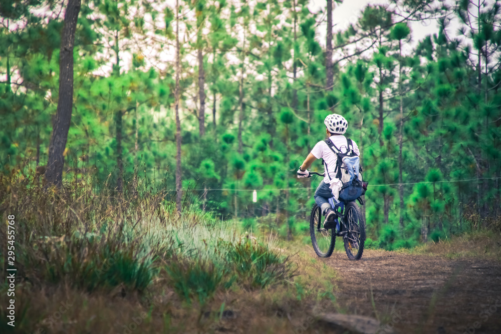 Cyclist riding a mountain bike on a countryside road in forest .