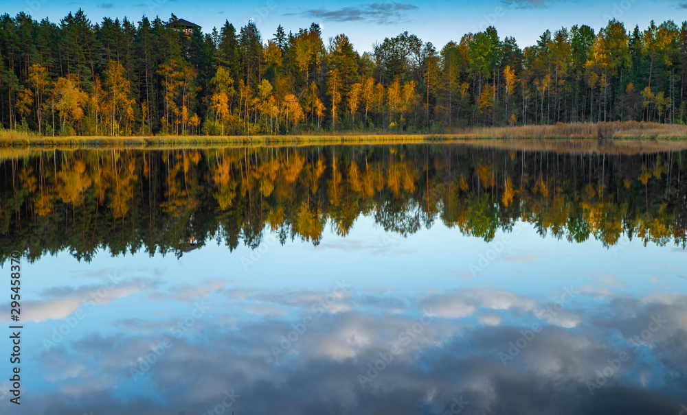 Obraz premium Latvian nature. Kangari lake in forest. Reflection in water.