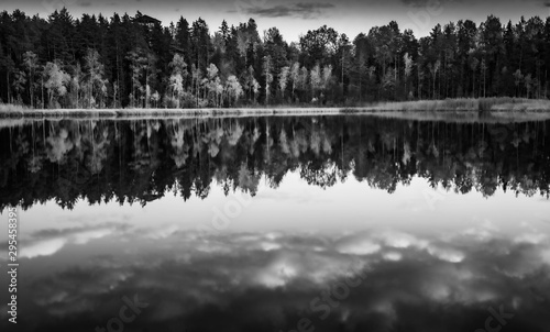 Latvian nature. Kangari lake in forest. Black and white. Reflection in water.