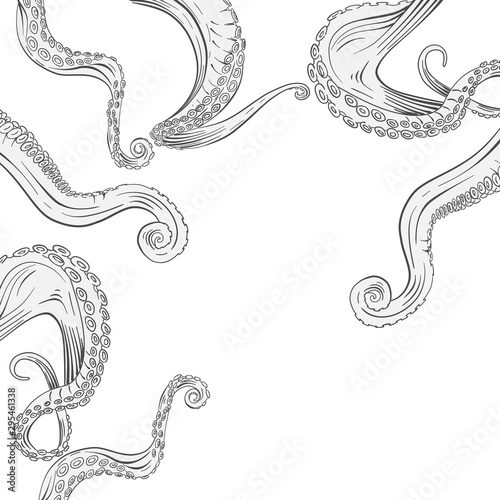 octopus tentacle. Hand drawn vector. isolated on white background.