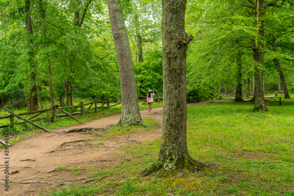 Middle Age woman walking on trail in National Park Middle Age woman walking on trail in National Park