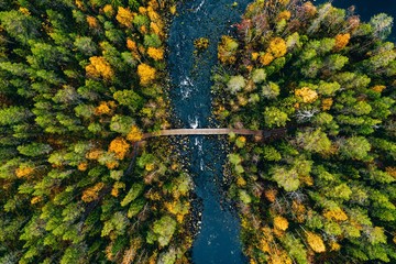 Aerial view of fast river flow through the rocks and colorful forest. Autumn in Finland