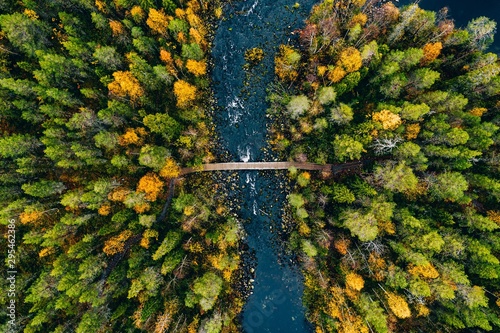 Aerial view of fast river flow through the rocks and colorful forest. Autumn in Finland