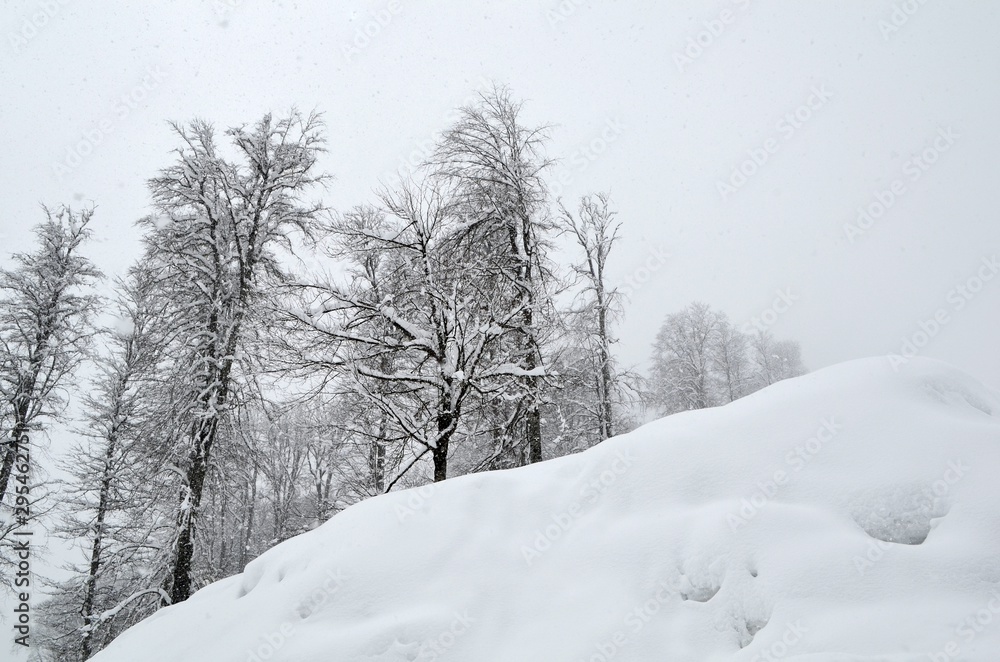Fototapeta premium Winter landscape in the mountains of the Caucasus. Snowing.