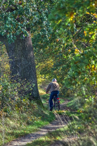 Obraz na płótnie riding near an old oak, autumn bicycle trip among fields and forests w salonie