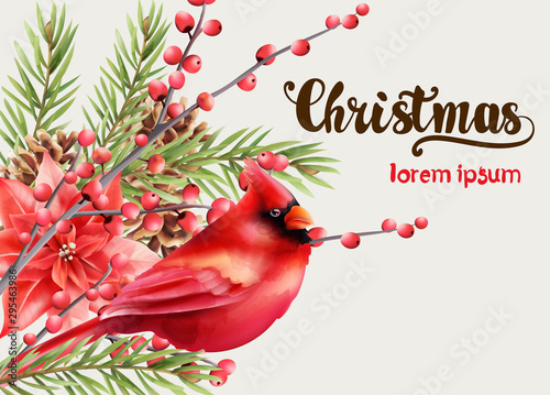 Christmas greeting card background with red bird, flowers, berries, fir leave...