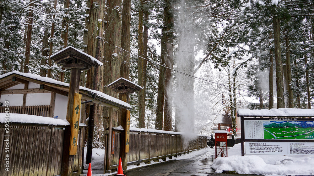 Fototapeta premium 雲洞庵入り口の杉から雪が落ちたところ