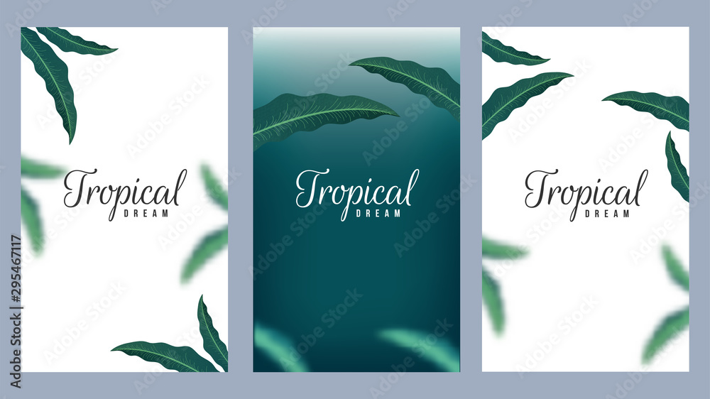 Set of Tropical Dream template design decorated natural leaves on green and white background.