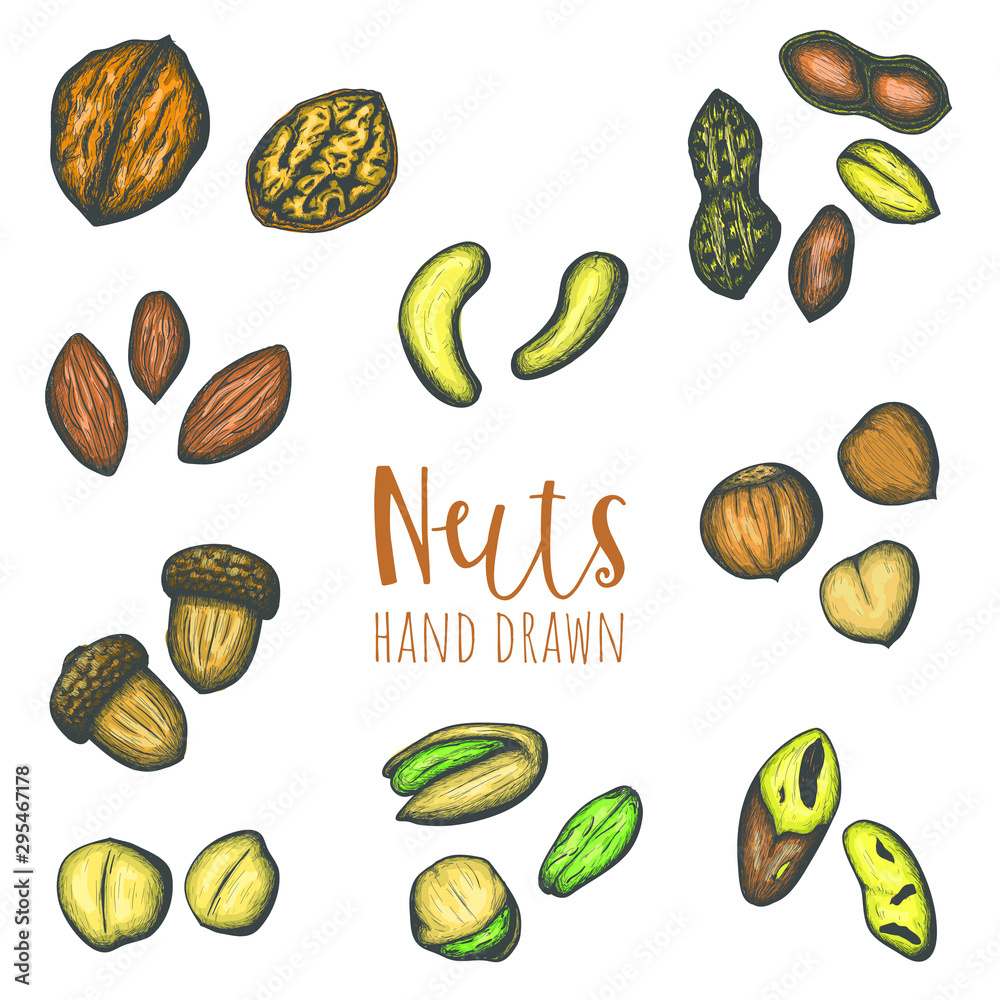 Various nuts hand drawn colored vector set, isolated design elements.