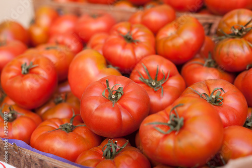 lots of tomatoes on a branch on counter
