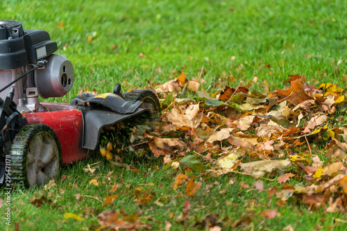 Lawn mover mulching up fall leaves. photo