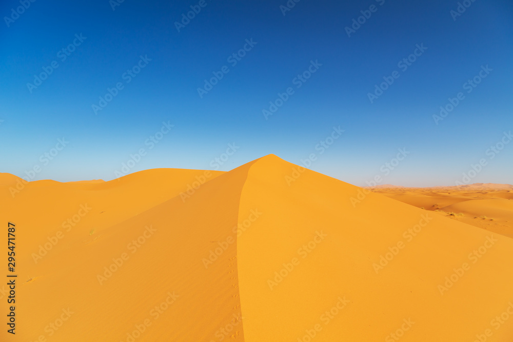 Sand Dunes of the Sahara Desert.