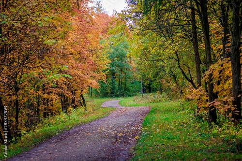 Autumn park landscape. Golden autumn . Sunny day in the autumn park with yellow trees. Beautiful landscape.