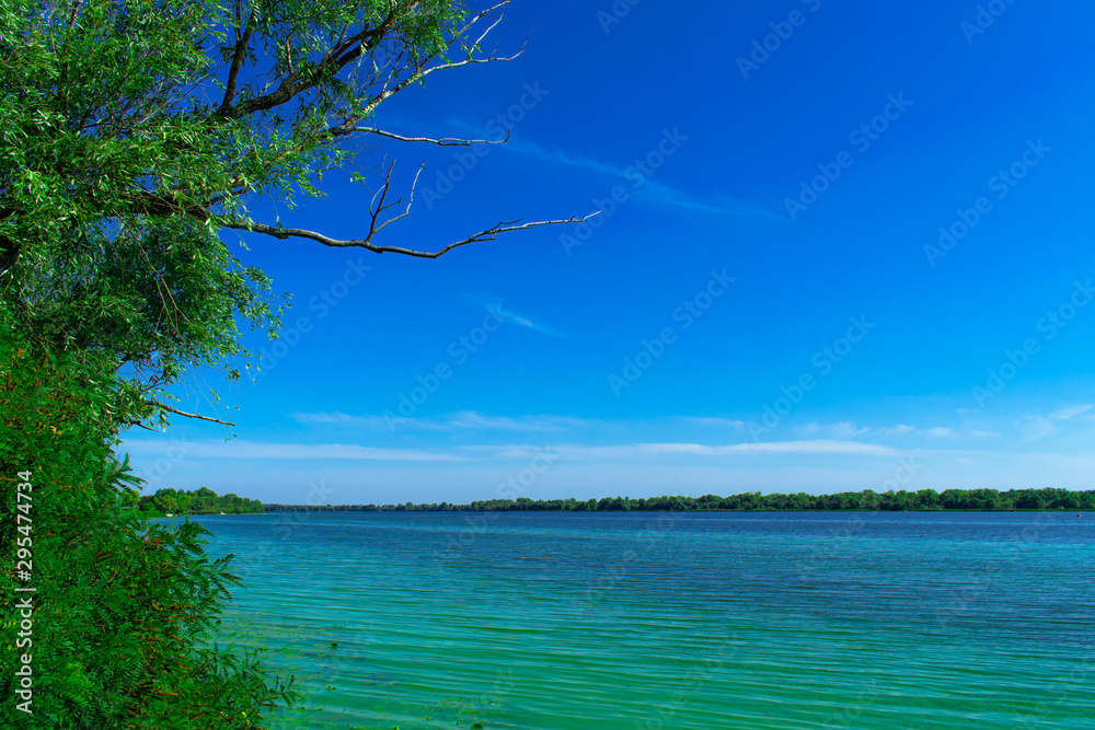 Wide river with green water with algae Wide river with green water with algae