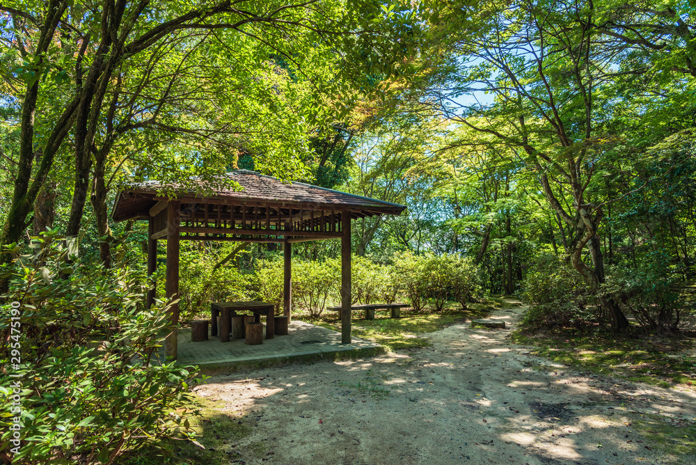 自然のある公園