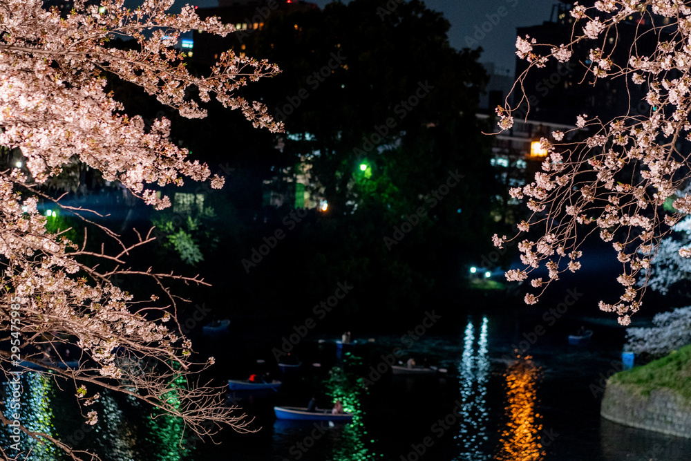千鳥ヶ淵の夜桜ライトアップとボートと桜吹雪