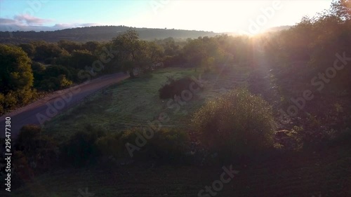 Aerial. Amazing sunrise over the meadows and gardens of the Algarve in Portugal. photo