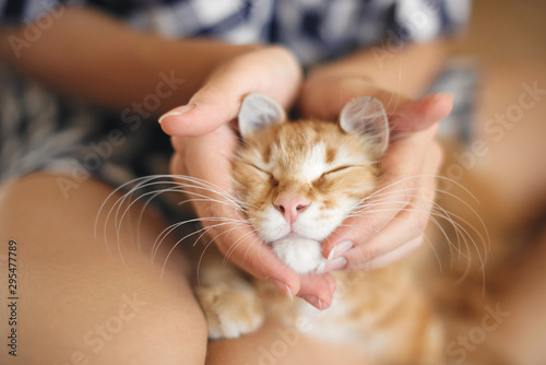 Cat lies on the legs of a young woman