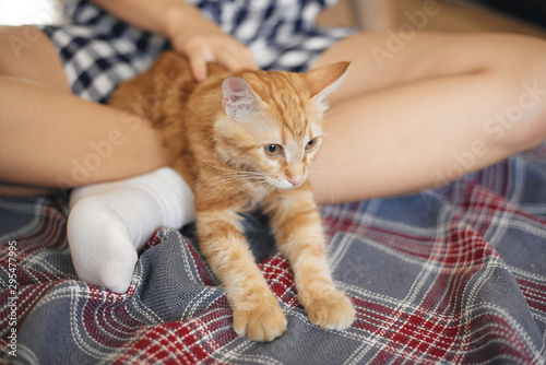 Cat lies on the legs of a young woman