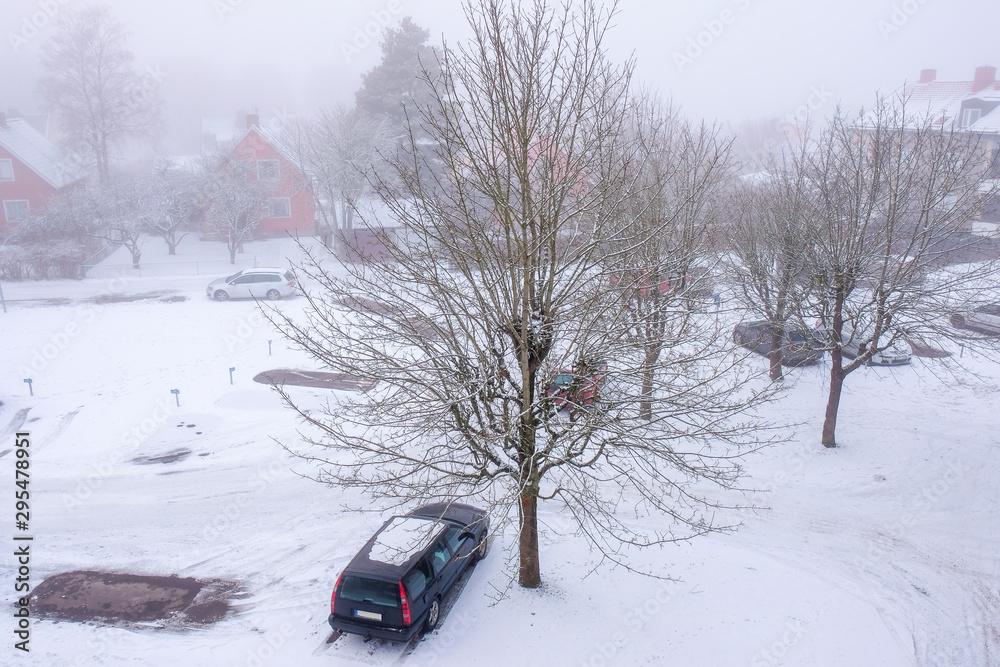 Car parked by a tree on a snowy street