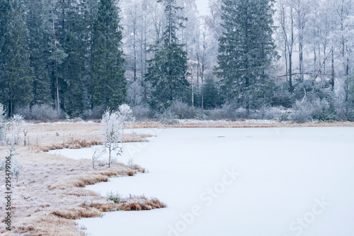 Wallpaper Mural Bog lake in a boreal forest with frost and ice Torontodigital.ca