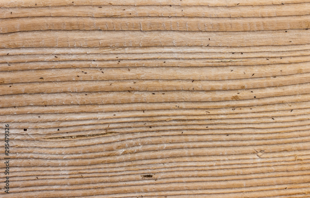The surface of an old wooden board, weathered and faded in the sun. The surface of an old wooden board, weathered and faded in the sun.